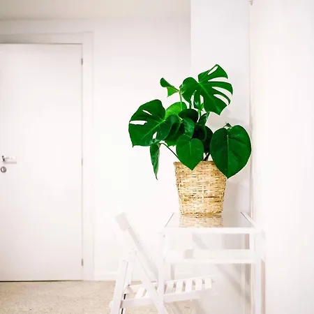 El Mercat Panzió 3*