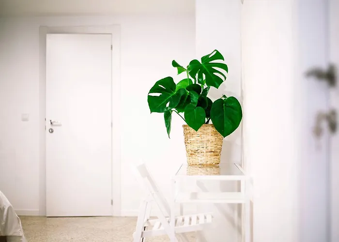 El Mercat Bed & Breakfast 3*